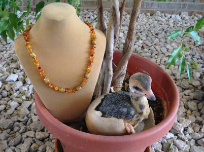 31. Amber Chips with Yellow Jade and Swarovski Crystals $49.95 31. Amber Chips with Yellow Jade and Swarovski Crystals